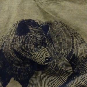 2 Boy Levi's brand tshirts